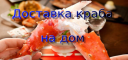 Конечности камчатского краба