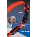 NITE IZE Светящийся ошейник 25-33 см
