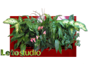 Фитокартина LetoStudio