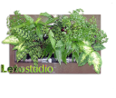 Фитокартина LetoStudio