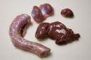 Субпродукты индейки оптом