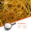 CARRAGEENAN